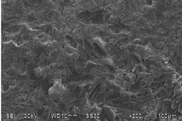 1651675338820176.jpg 4-1Q02610162A35 (1).jpg