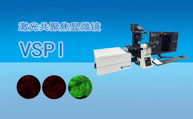 1761024828706271.png 1761024828706271.png