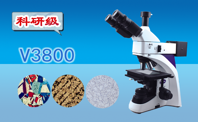 1767939905517236.png 1767939905517236.png